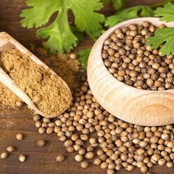 bikolimvar - Kişniş (100 Gr.)